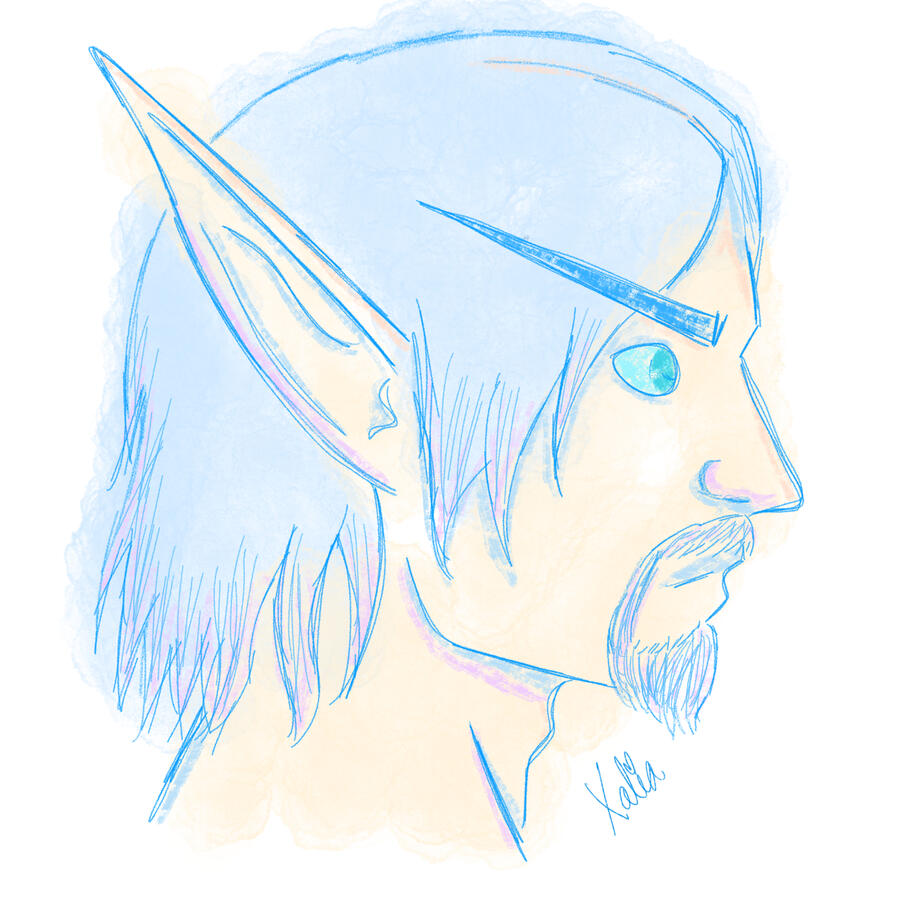 High Elf Portrait