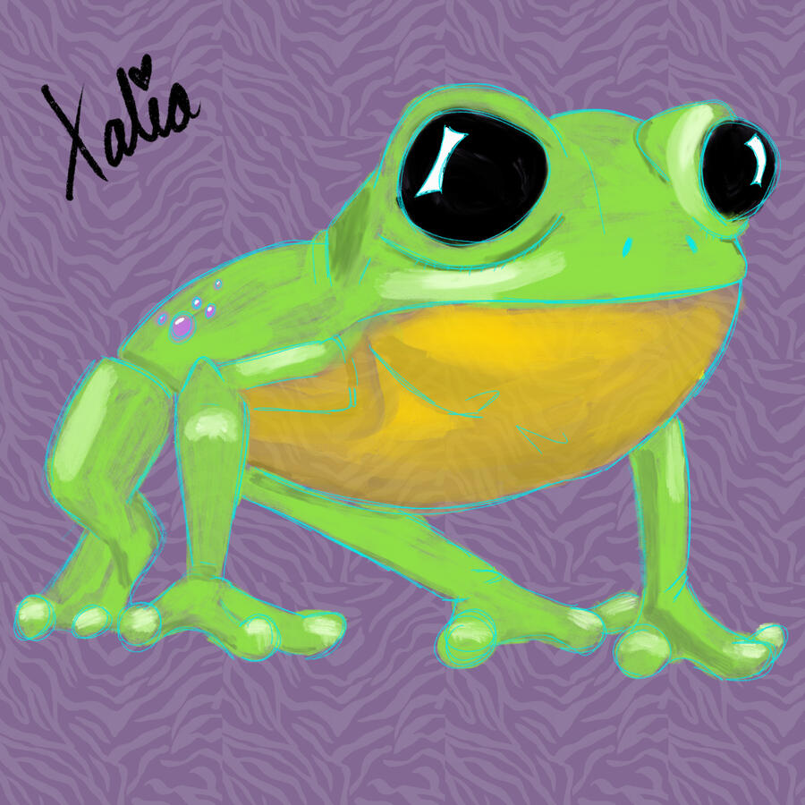 Frog - Mixed Paints