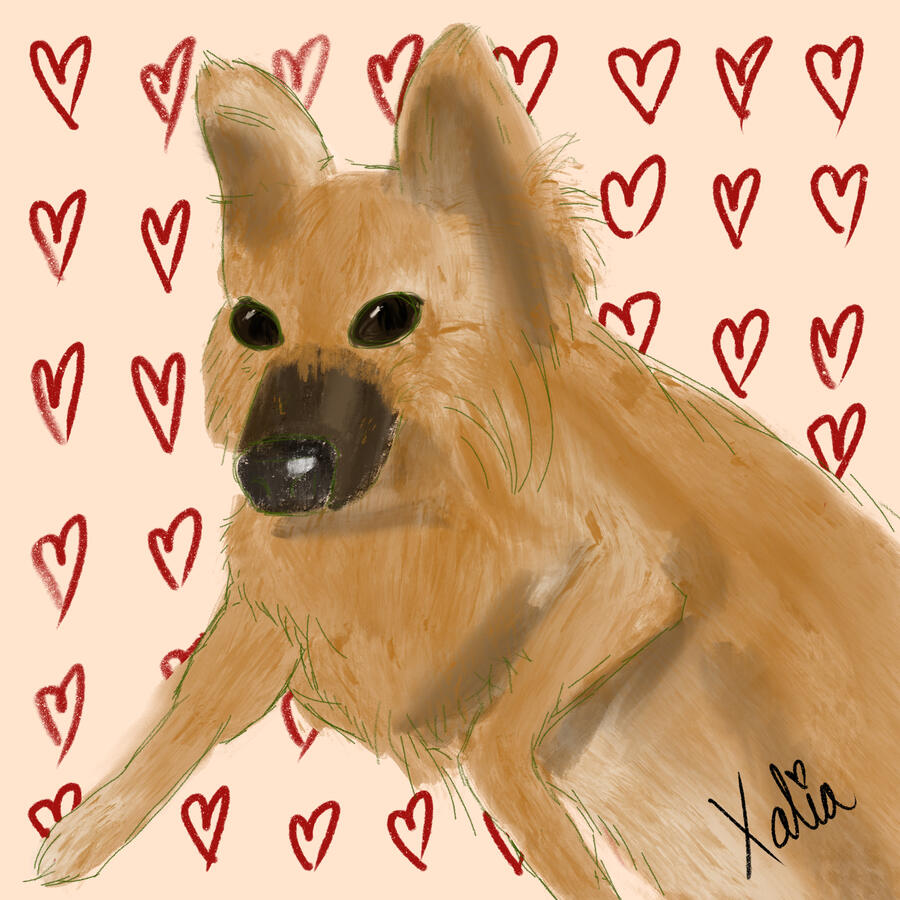 Dog - Mixed Paints